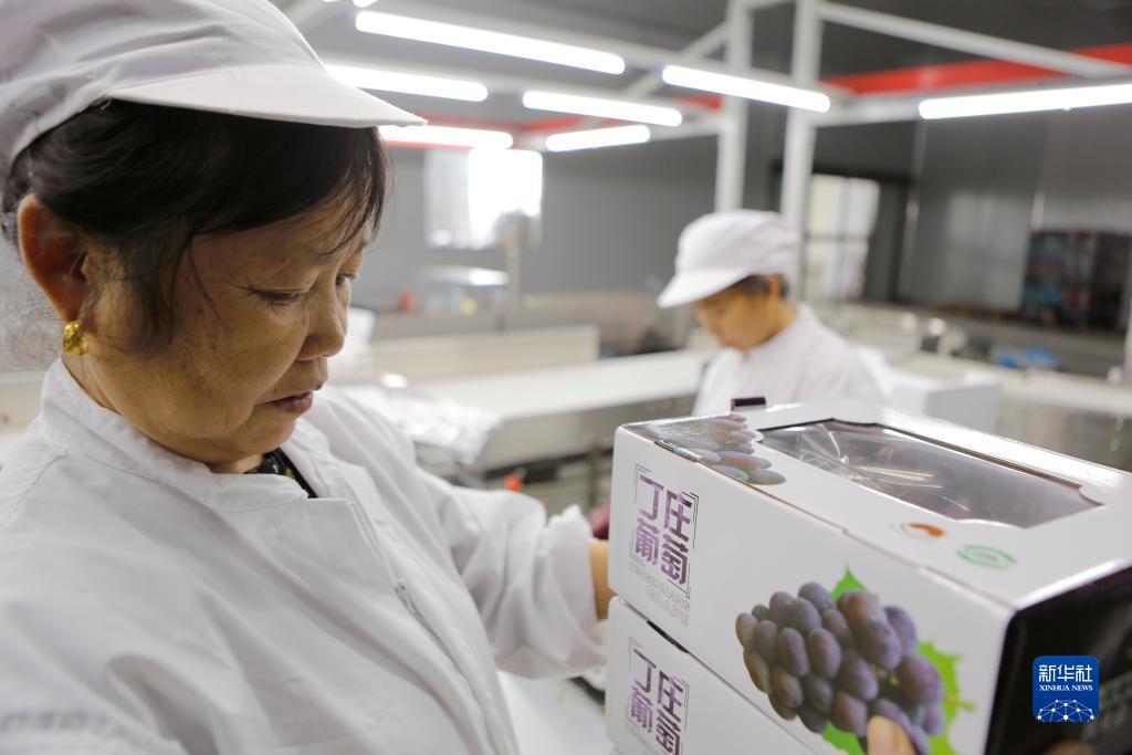 怎么算是闲龙宝,庄龙宝